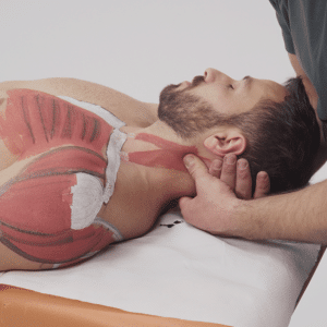 Massage Seminars Courses