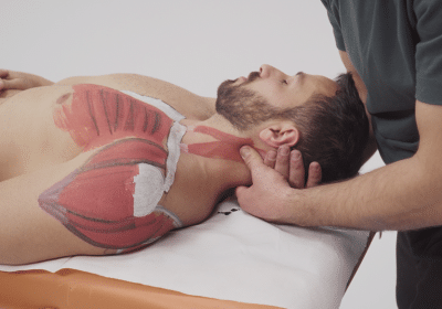 Advanced Bodywork Diploma [English]